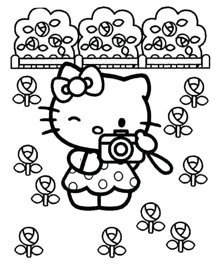 Hello Kitty et appareil photo