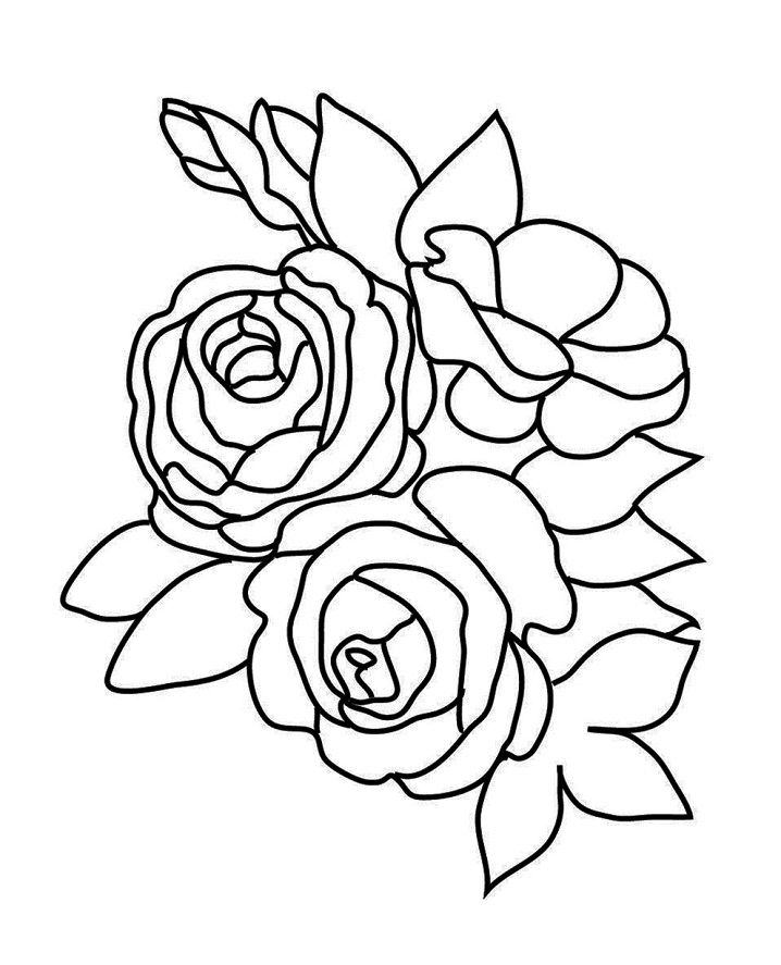 Roses Simples