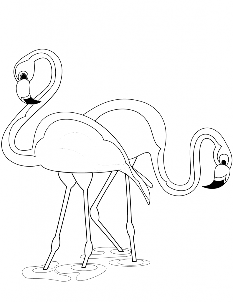 Deux Flamants