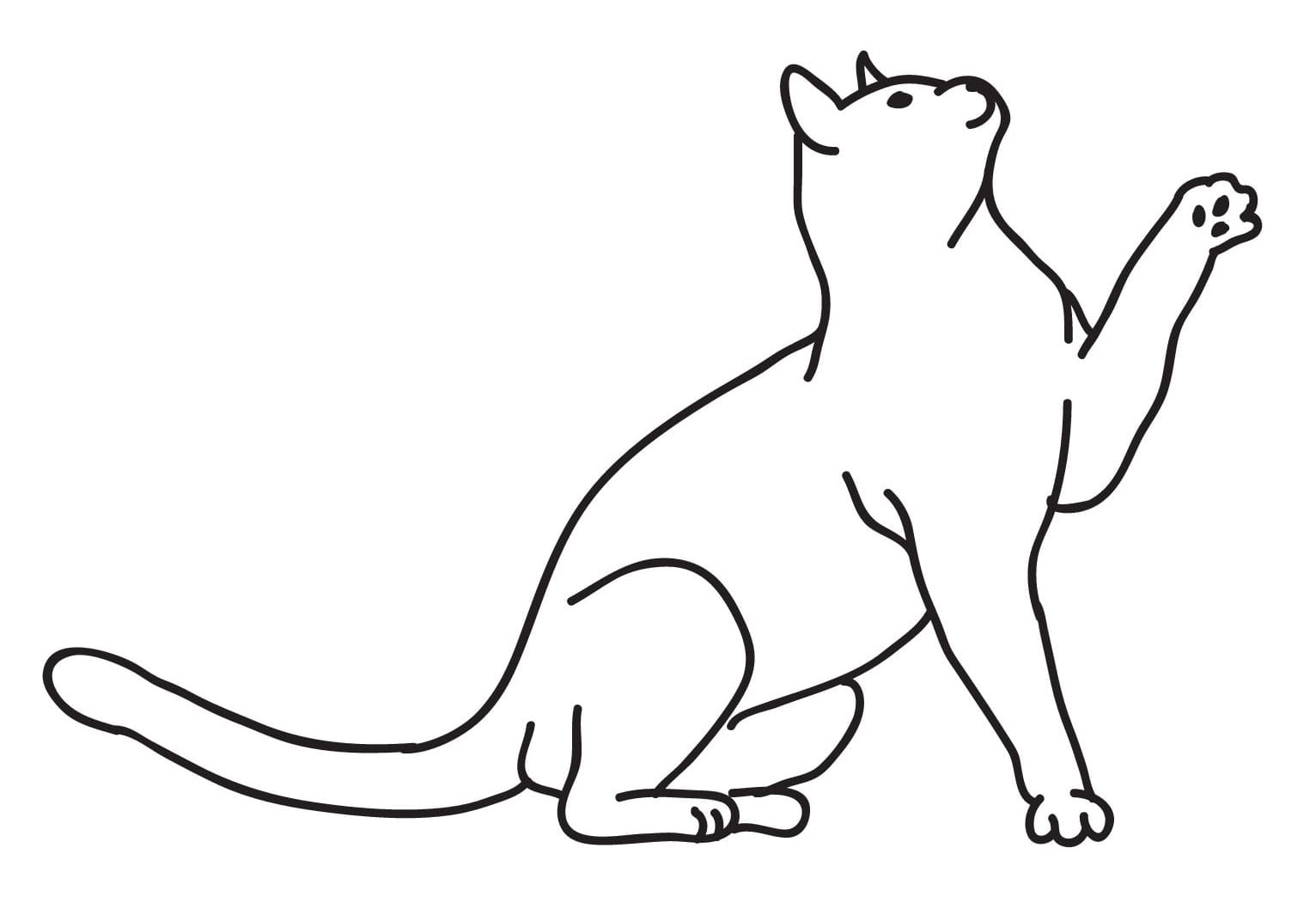 Coloriage Un Chat Telecharger Et Imprimer Gratuit