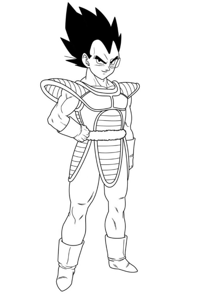 Vegeta Souriant