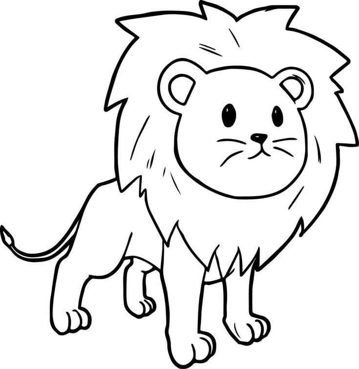 Lion (4)