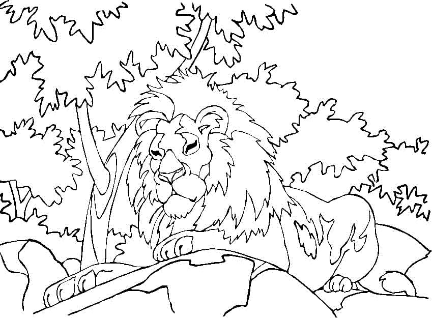 Lion Dans la Forêt