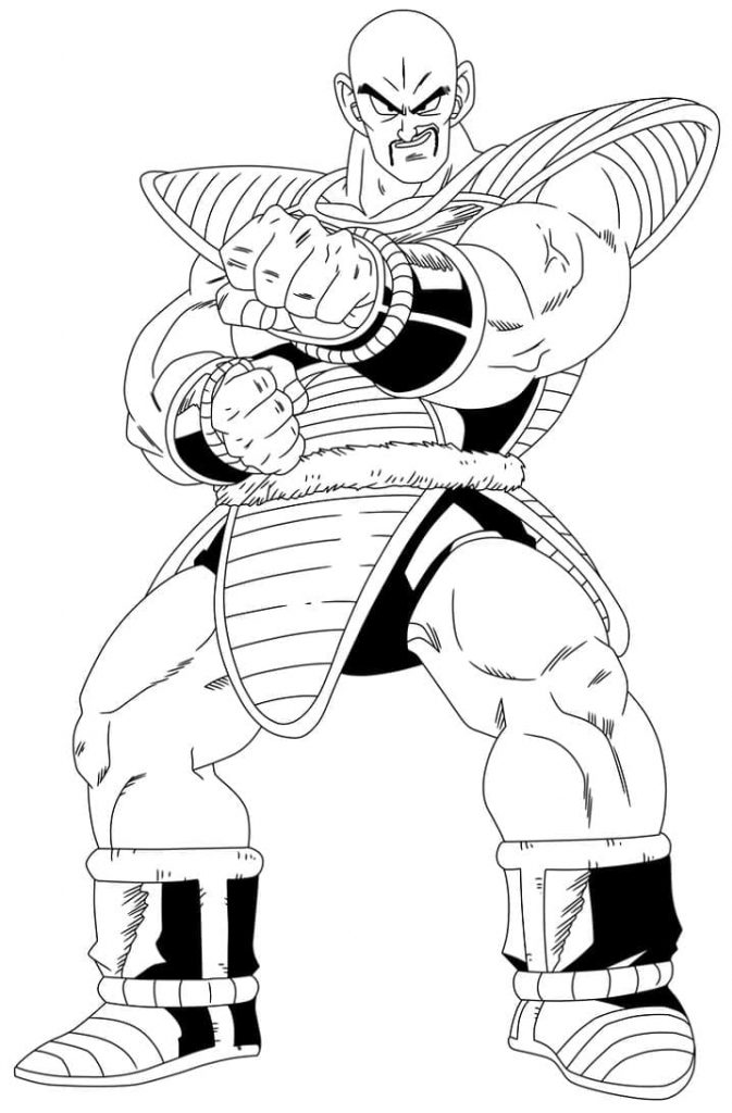 nappa 2