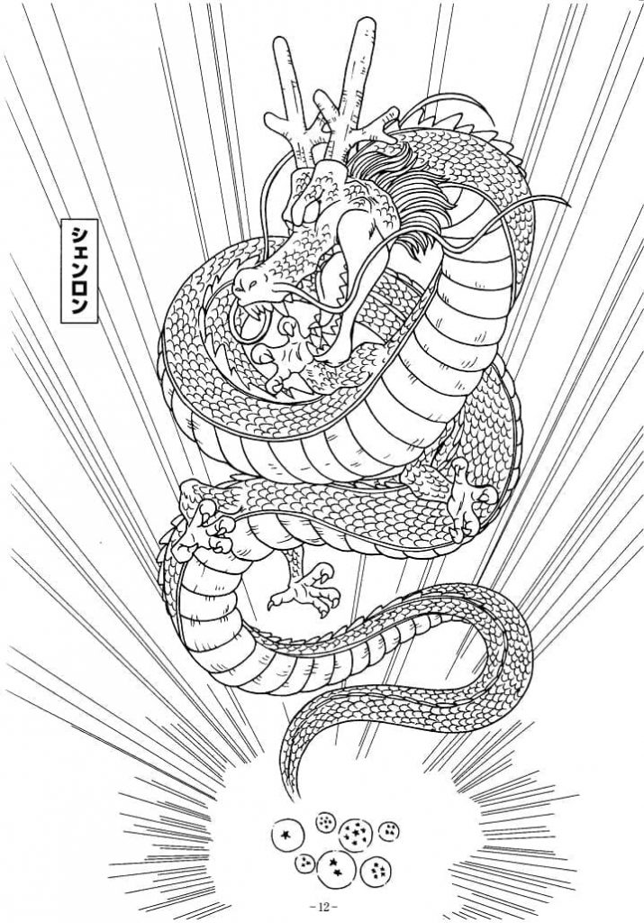 shenron 1