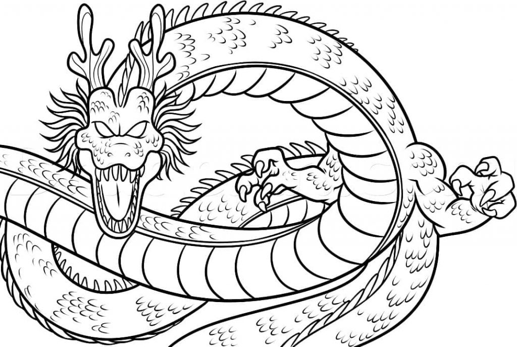 shenron 4