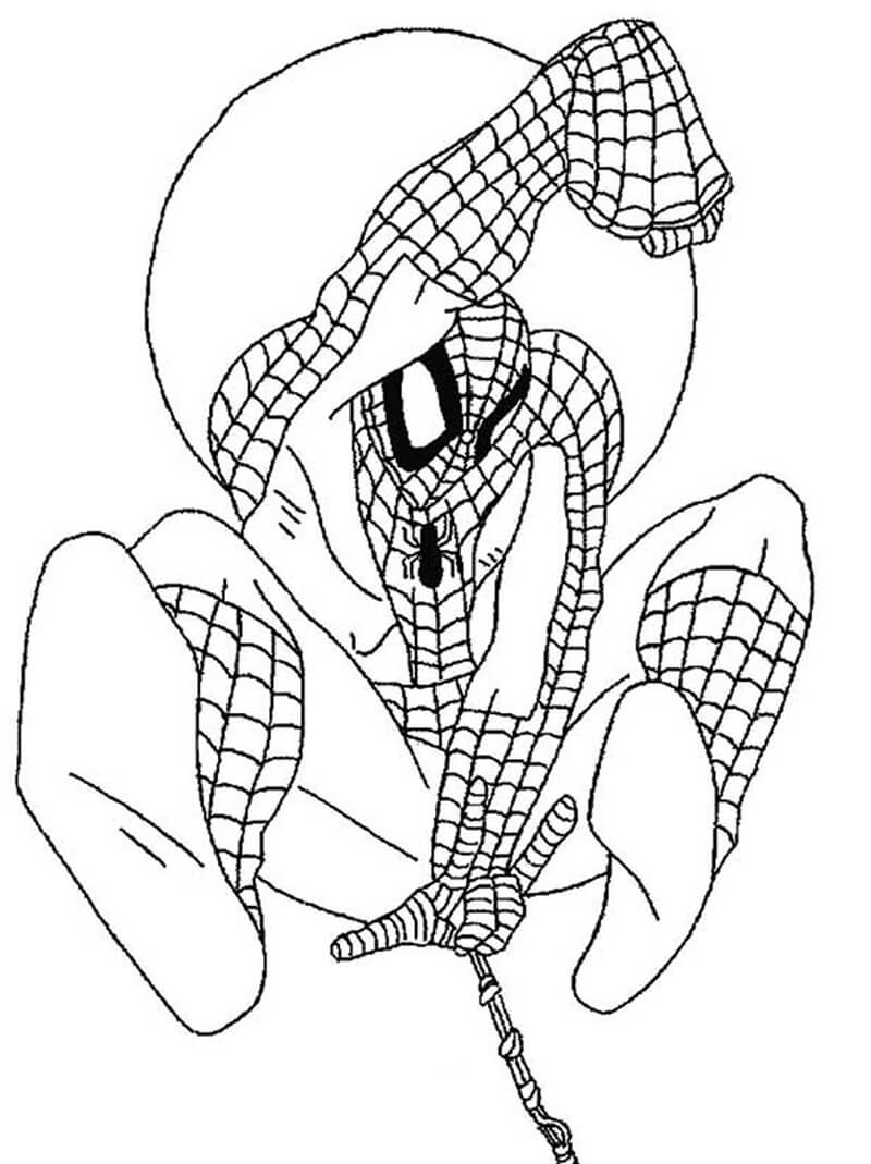 spiderman 4