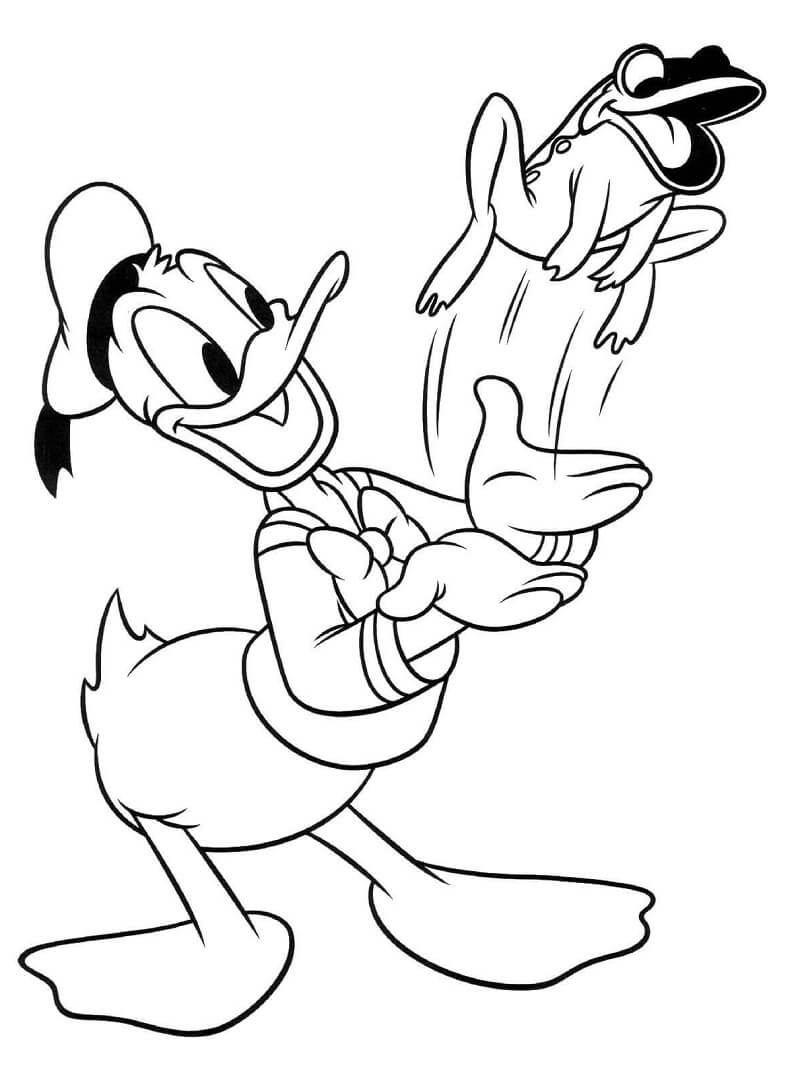 Donald Duck avec une grenouille