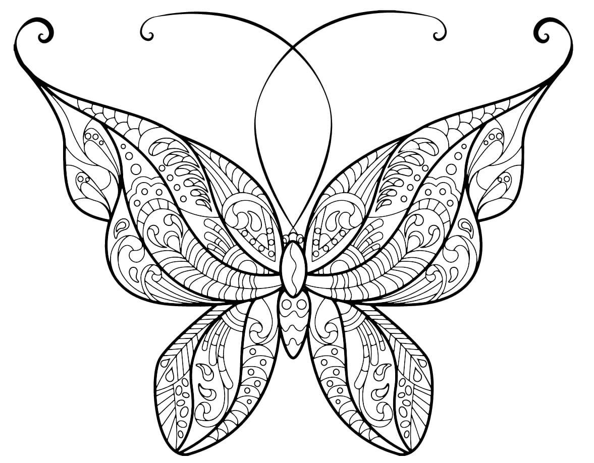 papillon adulte jolis motifs 4
