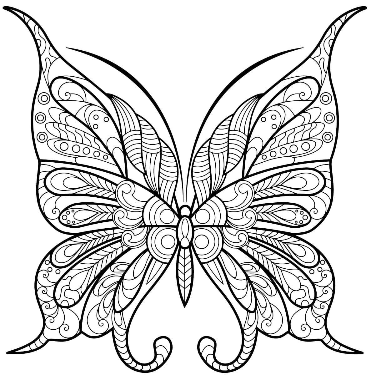 papillon insecte jolis motifs 1