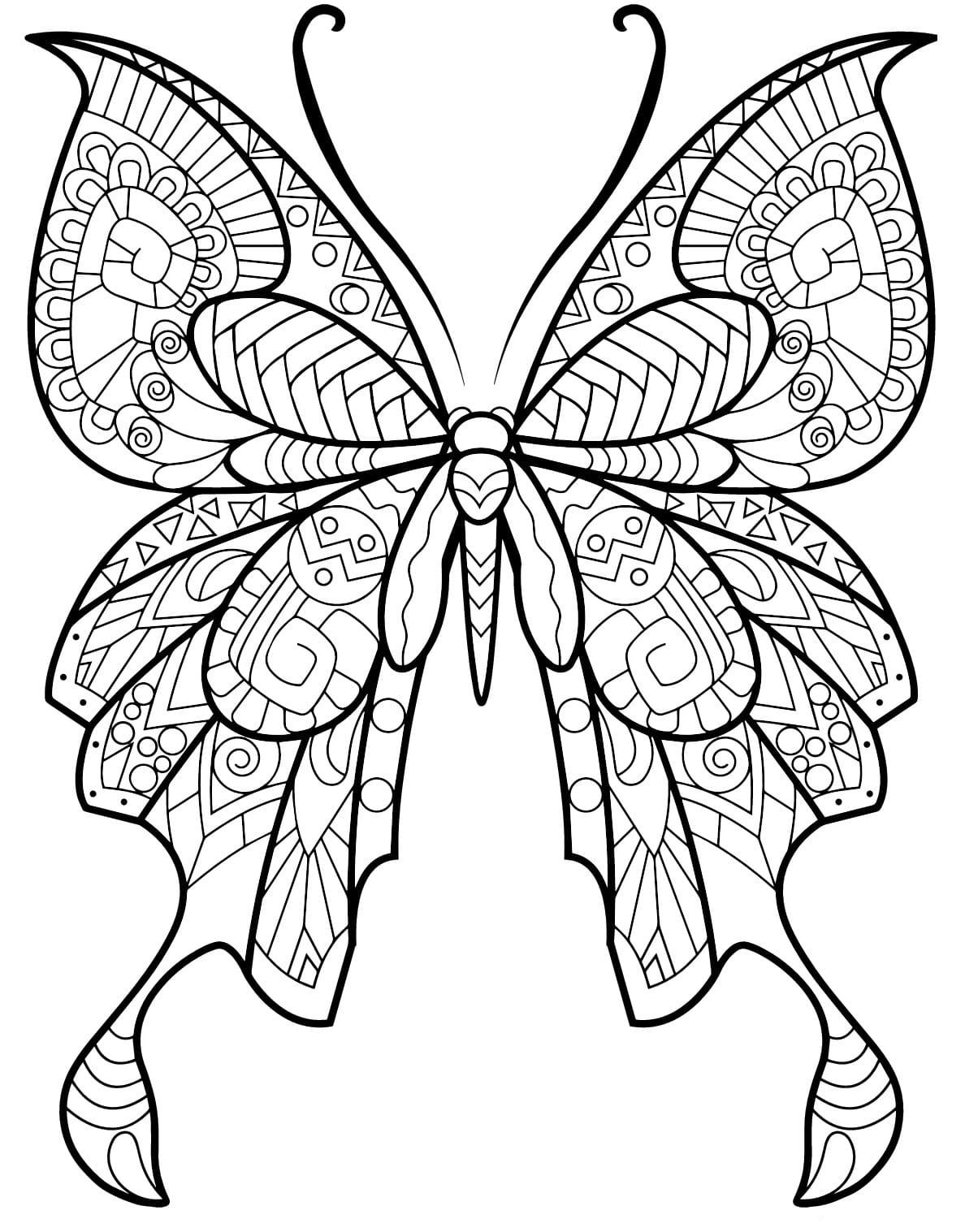 papillon insecte jolis motifs 2