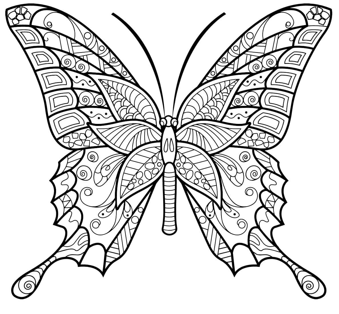 papillon insecte jolis motifs 3