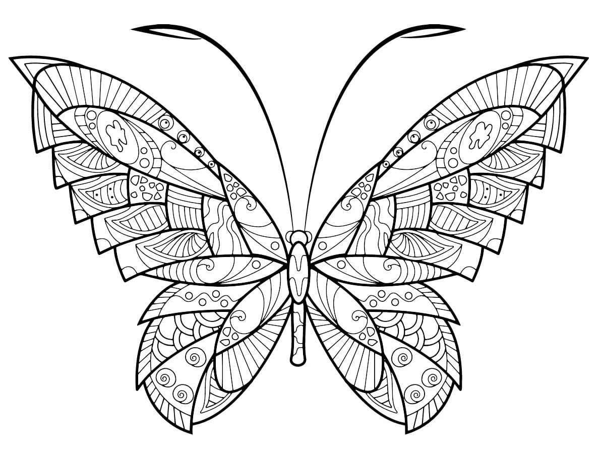 papillon zentangle jolis motifs 2