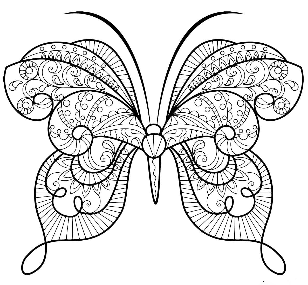papillon zentangle jolis motifs
