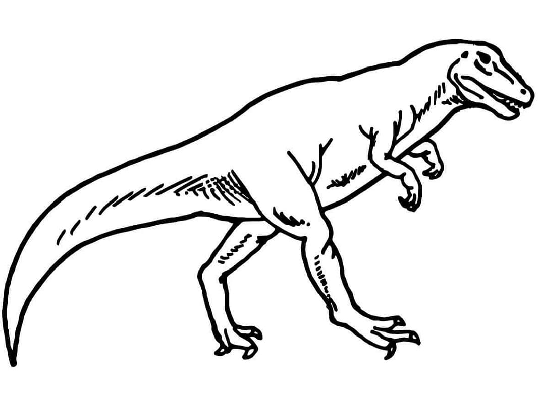 dinosaure allosaure 1