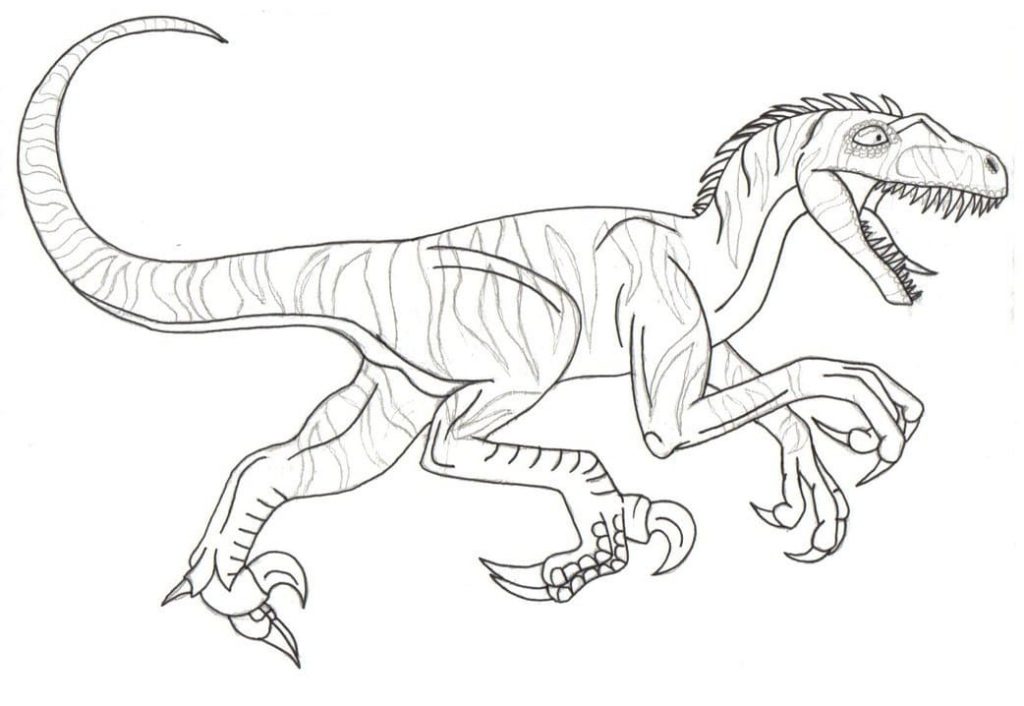 dinosaure vélociraptor 3