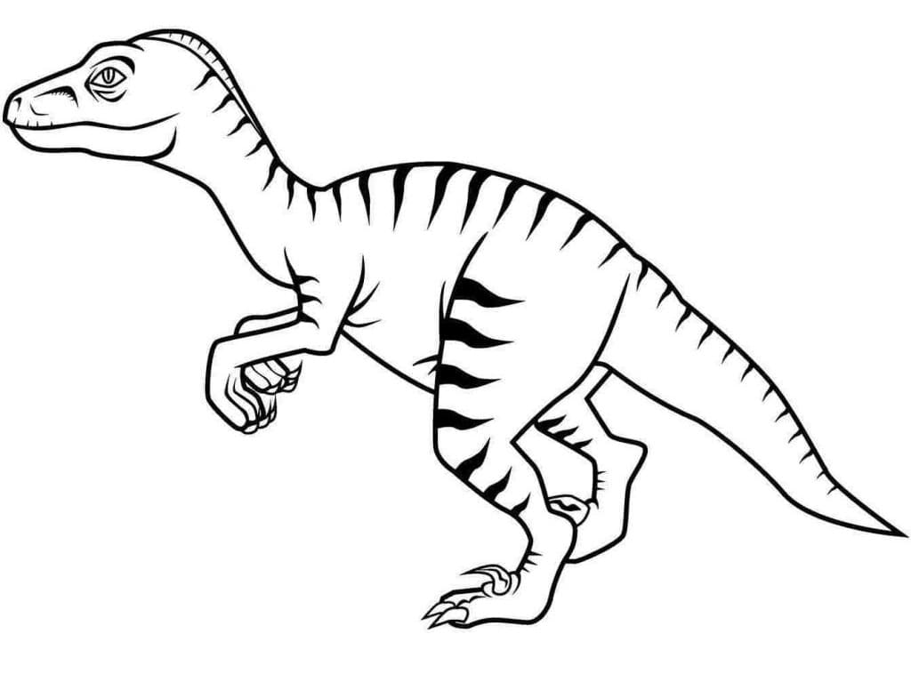 dinosaure vélociraptor 4