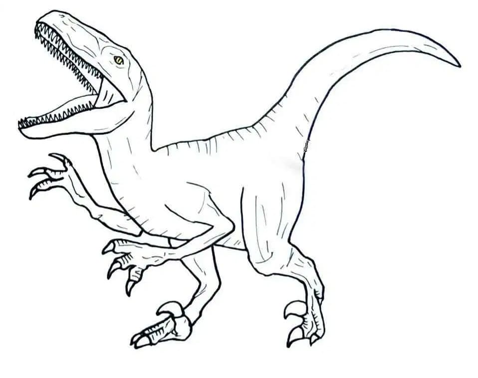 dinosaure vélociraptor 5