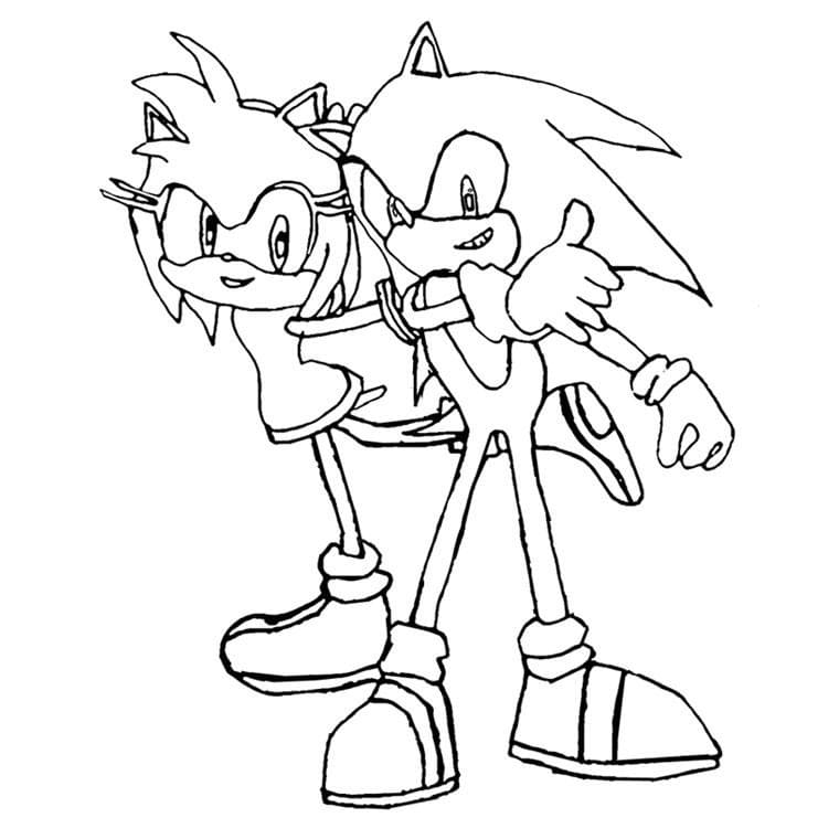Sonic et Amy Rose
