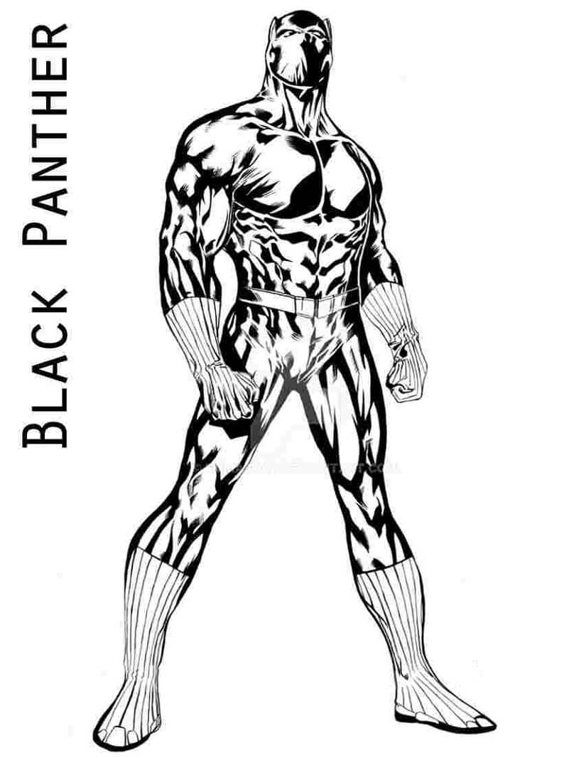 superbe black panther