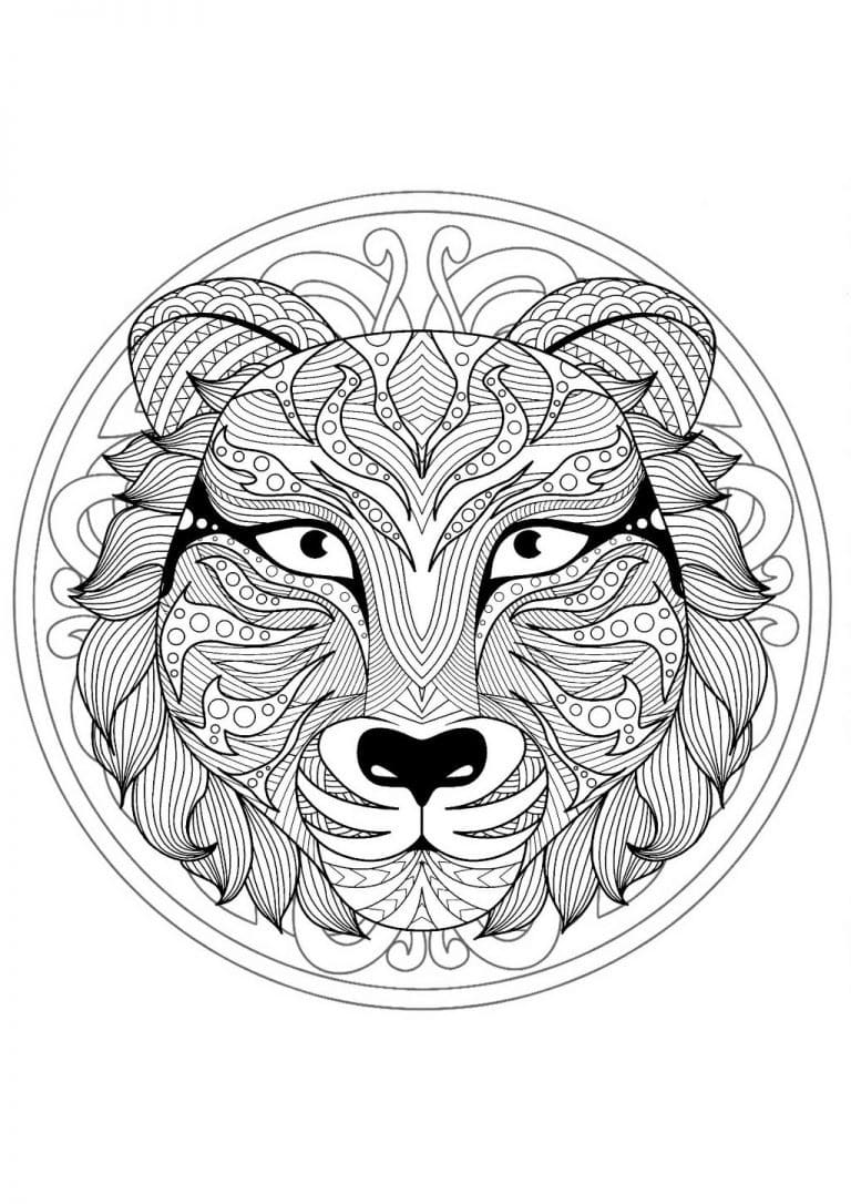 lion animaux mandala