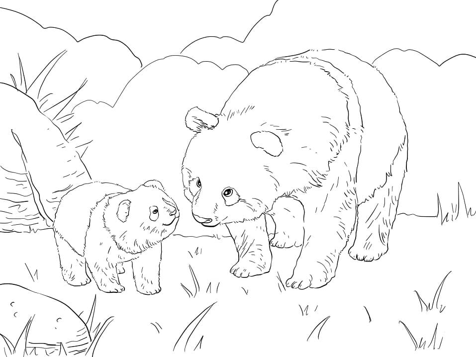 mère panda et ourson mignon