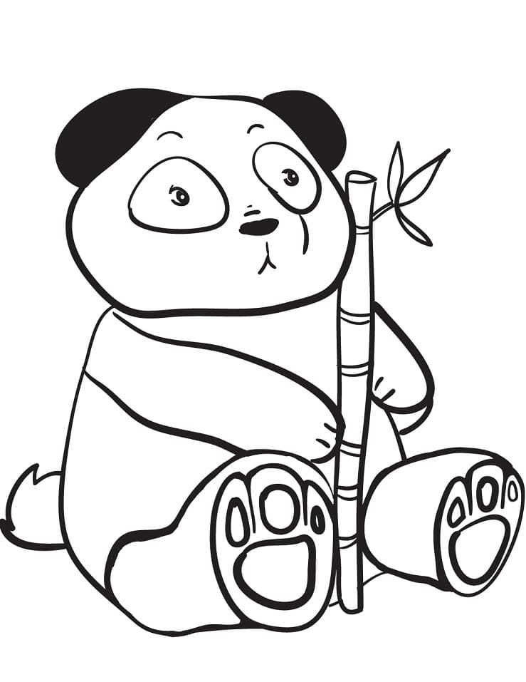 petit panda tenant une branche de bambou