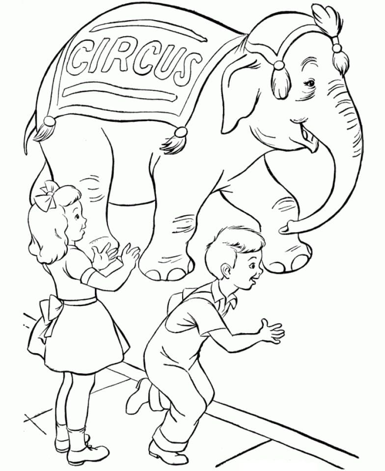 éléphant de cirque