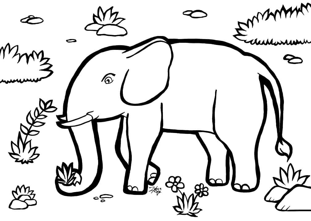 petit éléphant