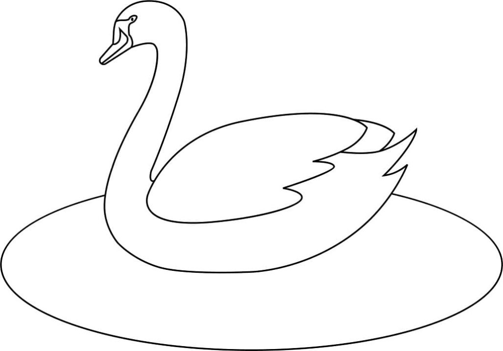 cygne simple