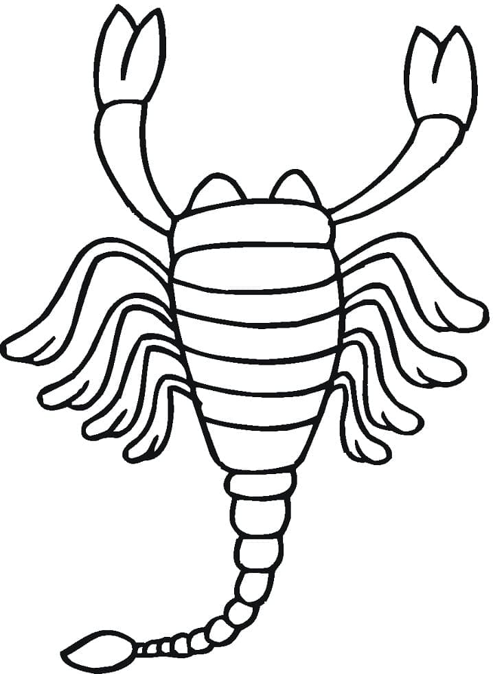 Scorpion Facile