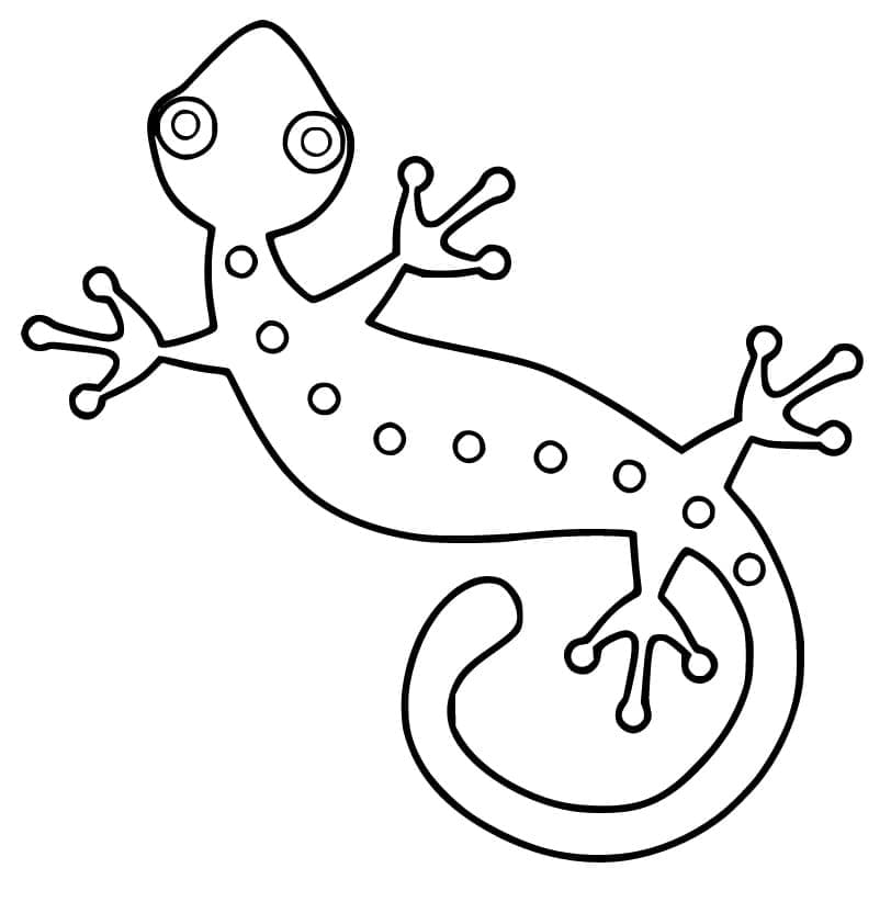 Gecko (2)