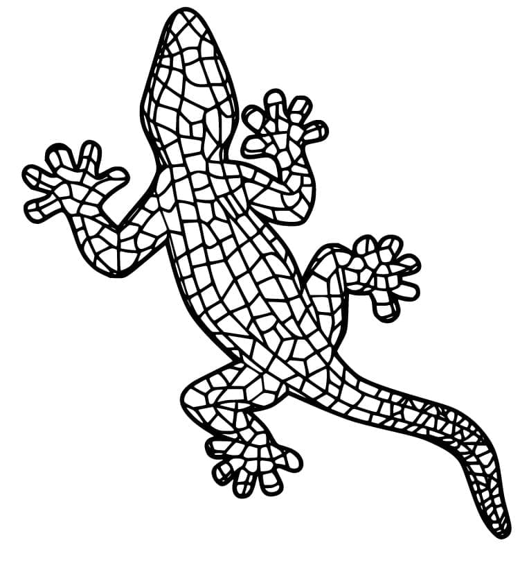 Gecko (6)