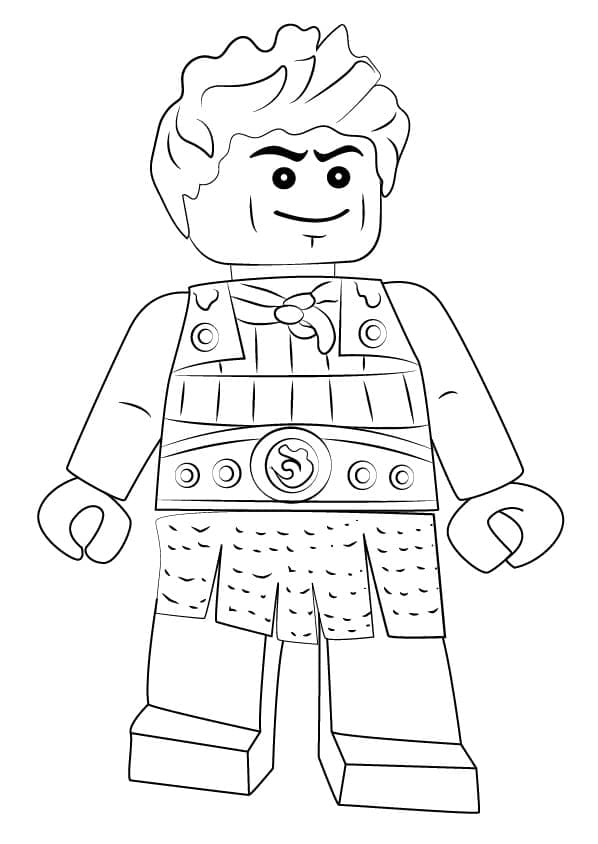 Lego Ninjago Ash