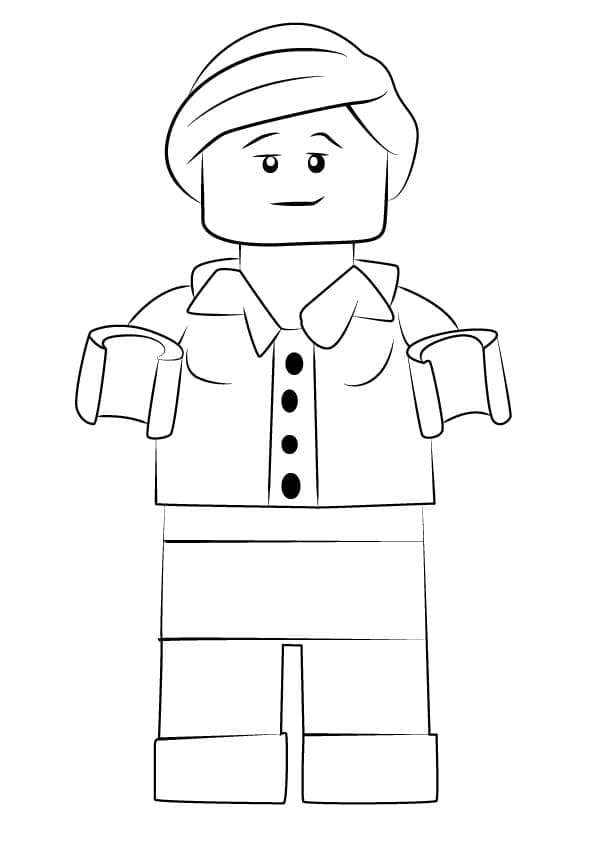 Lego Ninjago Patty
