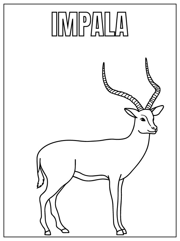 Impala Animal de Safari Page de Coloriage