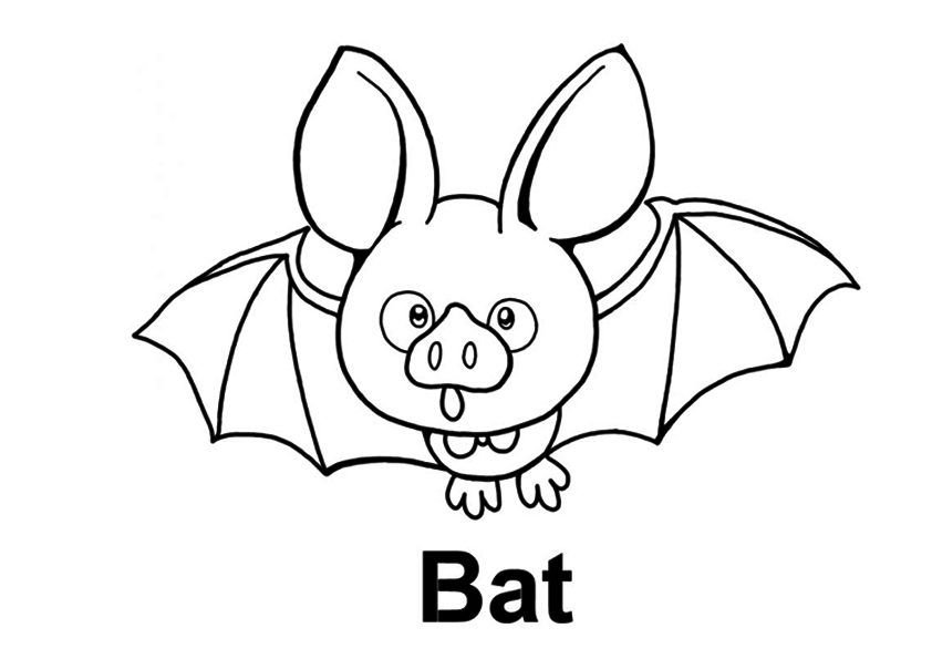 Cute Baby Bat