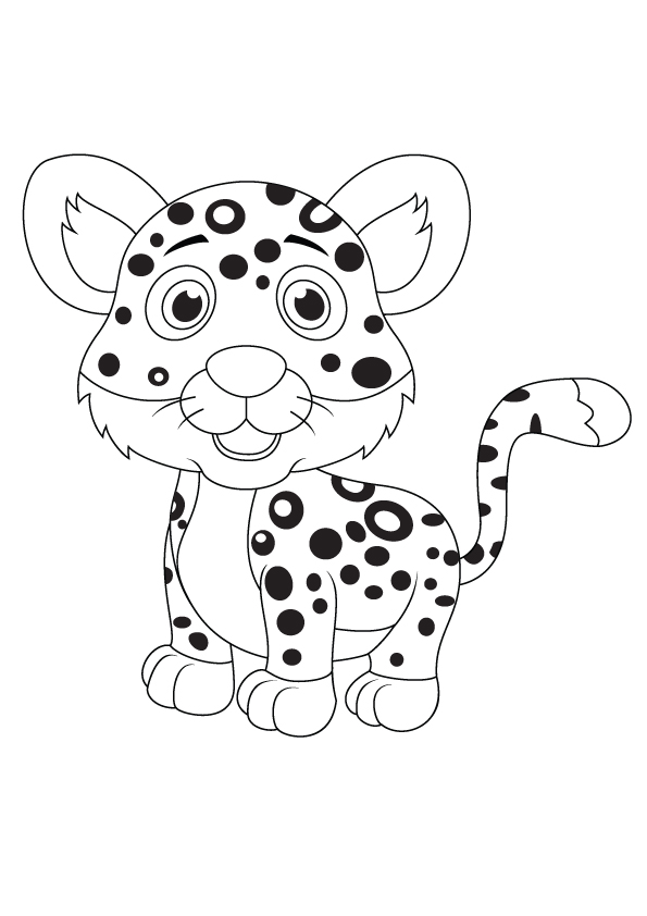 Baby Leopard