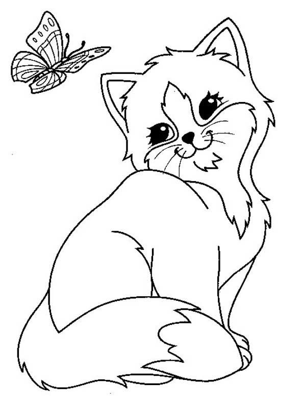 Cat With Butterfly