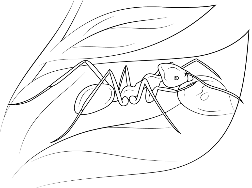 Formiga dormindo na folha