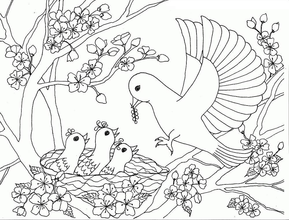 Birds Family On The Cherry Blossom Tree
