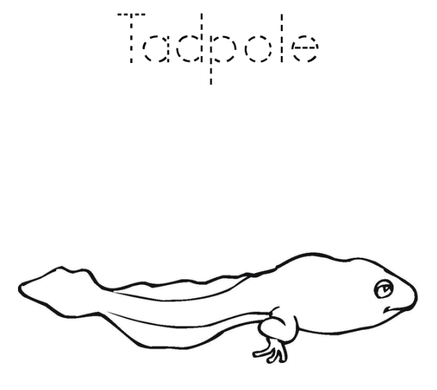 A Tadpole
