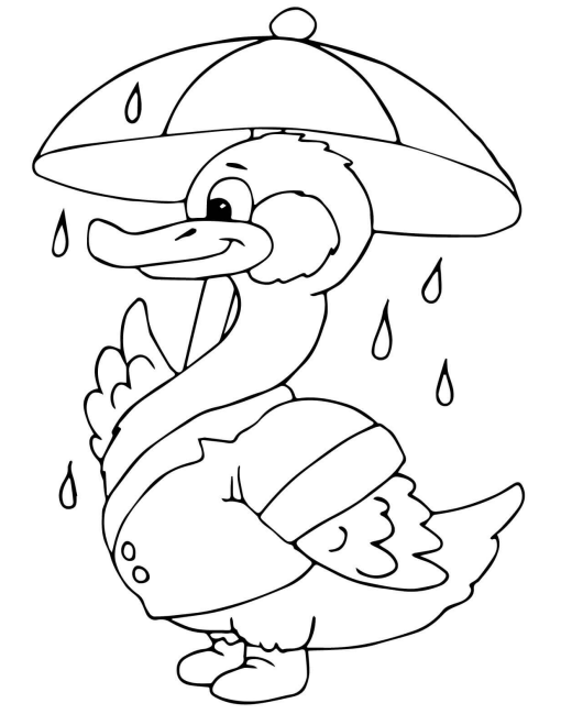 Duck Under The Rain
