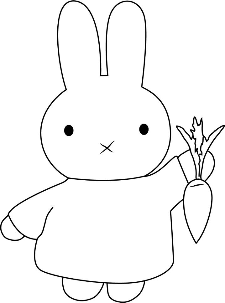 Miffy Holding Carrot
