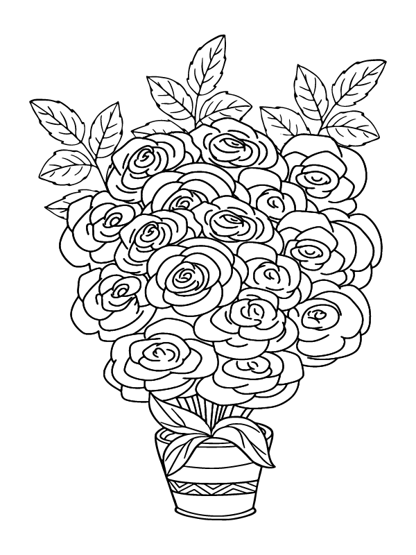 Adult Rose Flowers Coloring Page