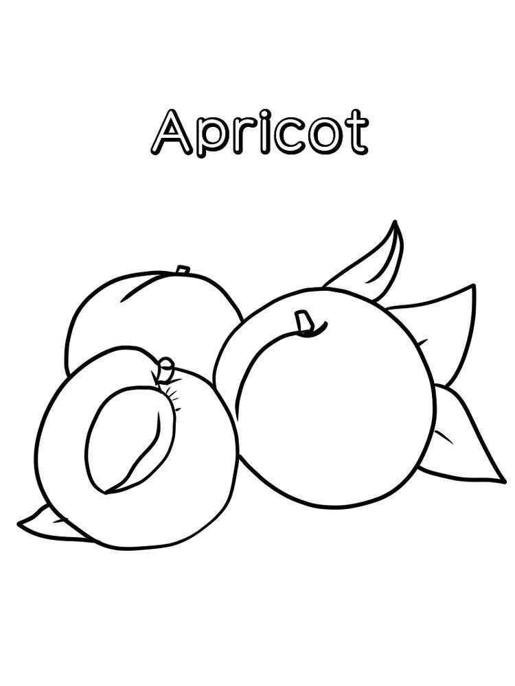 Apricot 8