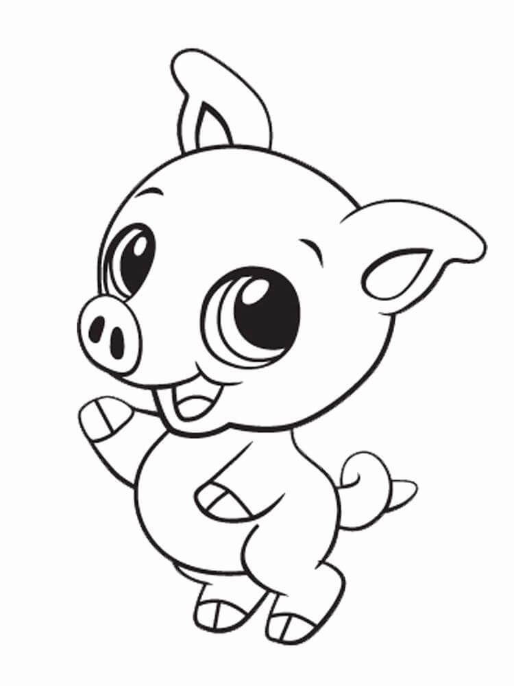 Baby Pig 0
