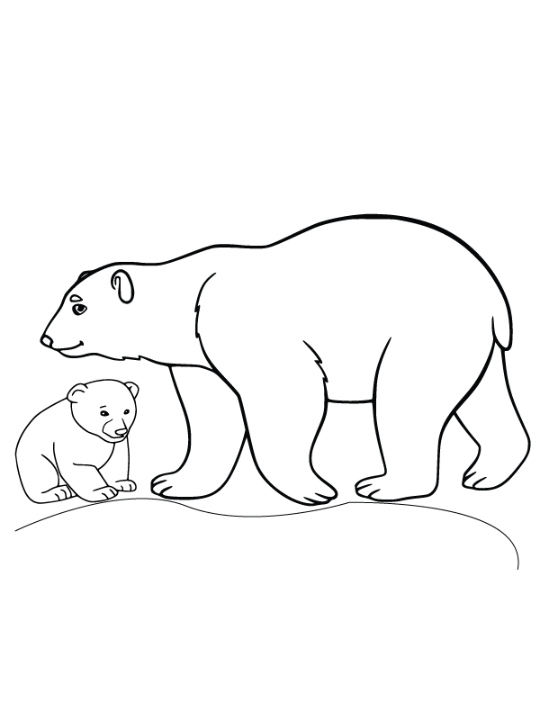 Bear and Cub Arctic Animals