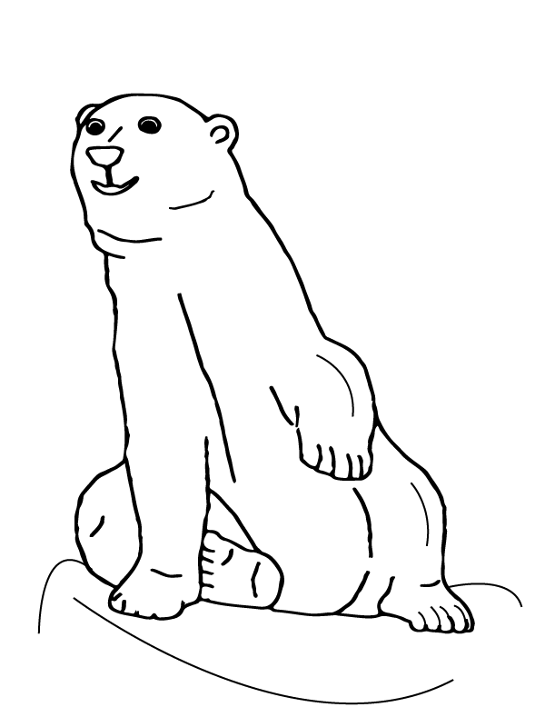Bear Sitting Arctic Animals