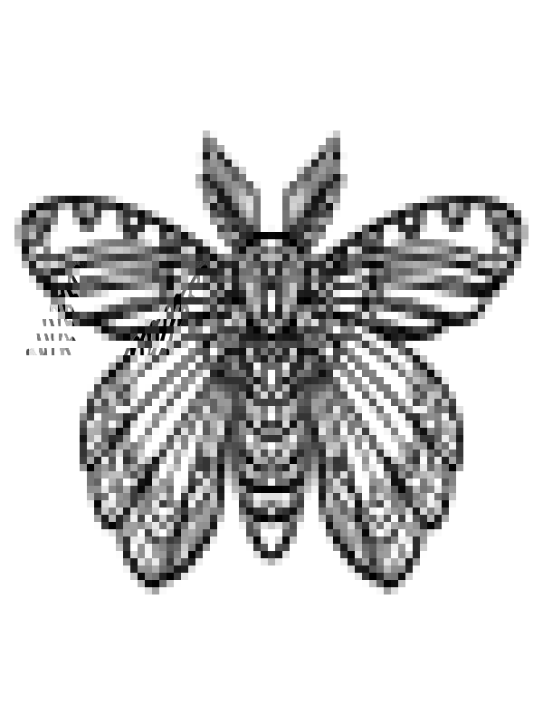Beautiful Butterfly 6